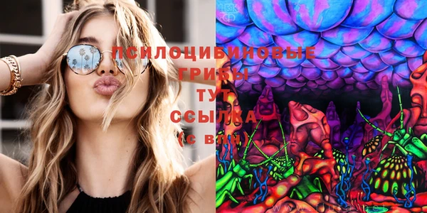 Альфа ПВП Алексеевка