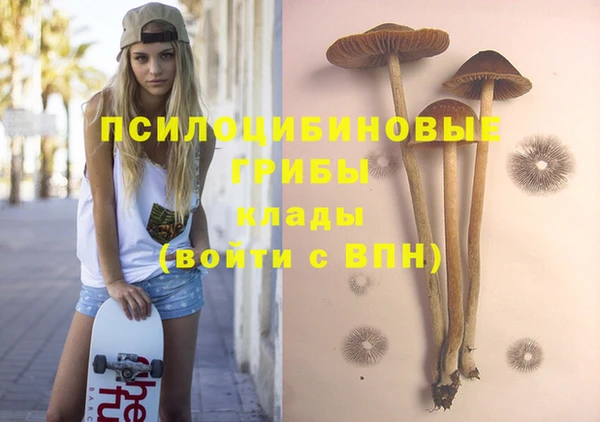 а пвп мука Снежинск