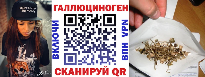 Галлюциногенные грибы Psilocybine cubensis  Буй 